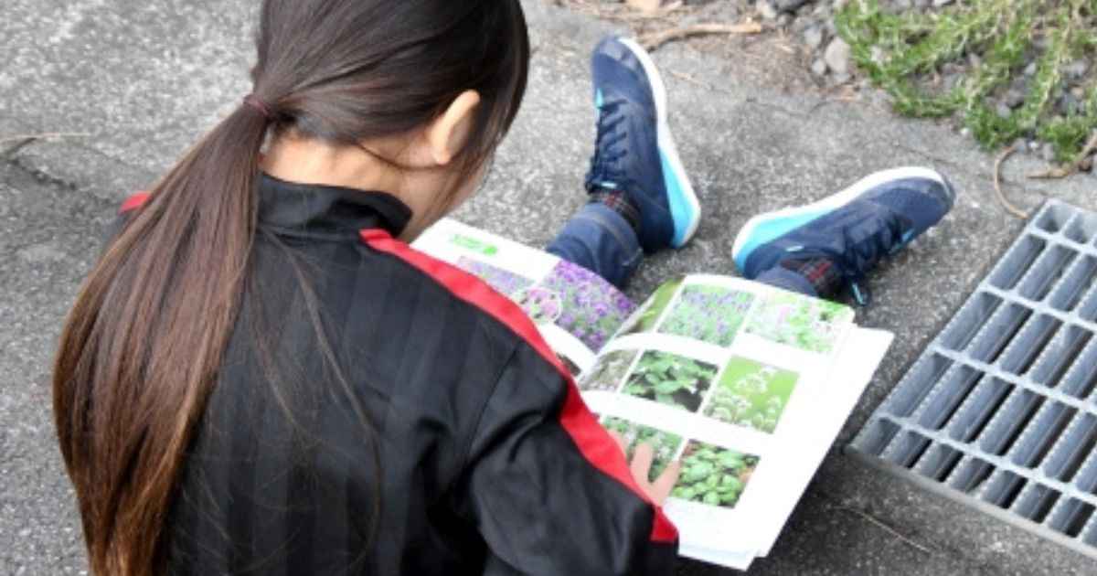 子どもが動植物の図鑑を夢中で読む