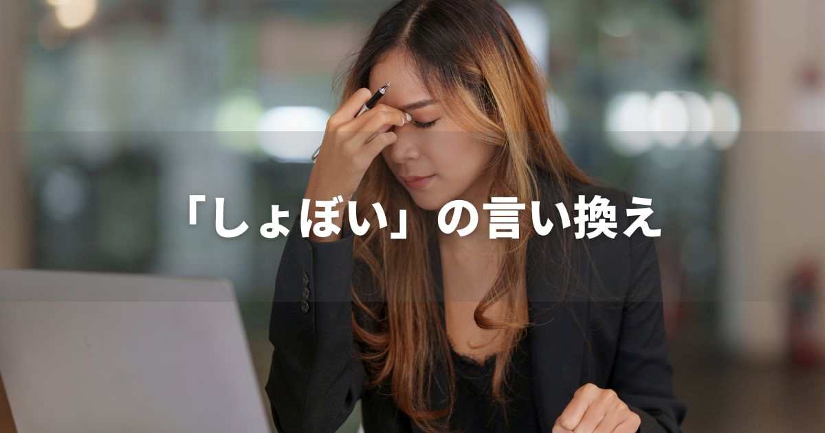 『しょぼい』を品よく言い換えると？　ビジネス実践｜プロの語彙力