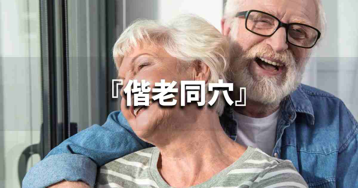 『偕老同穴』 ビジネスでどう使う？意味・例文・注意点｜プロの語彙力