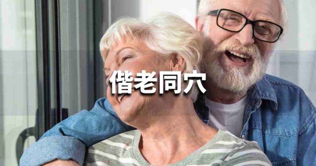 『偕老同穴』 ビジネスでどう使う？意味・例文・注意点｜プロの語彙力