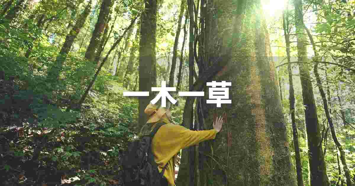 『一木一草』 ビジネスでどう使う?意味・例文・注意点|プロの語彙力